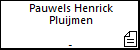 Pauwels Henrick Pluijmen